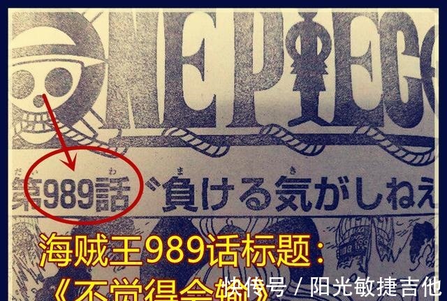 情报|海贼王989话情报3个新蛮霸者出现，是贝加庞克的古代巨人族失败品