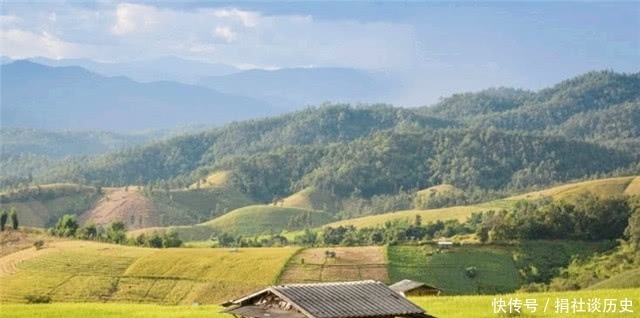 韭绿|曹雪芹的理想国:一畦春韭绿,十里稻花香