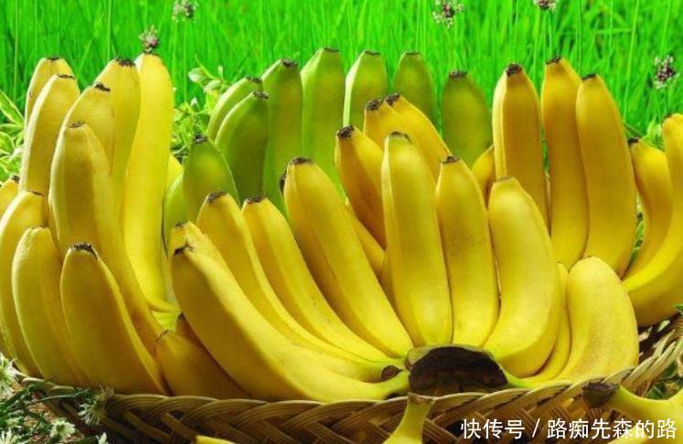 香蕉|水果商贩天天香蕉不离手,全因以下4大好处,还在盲目买香蕉