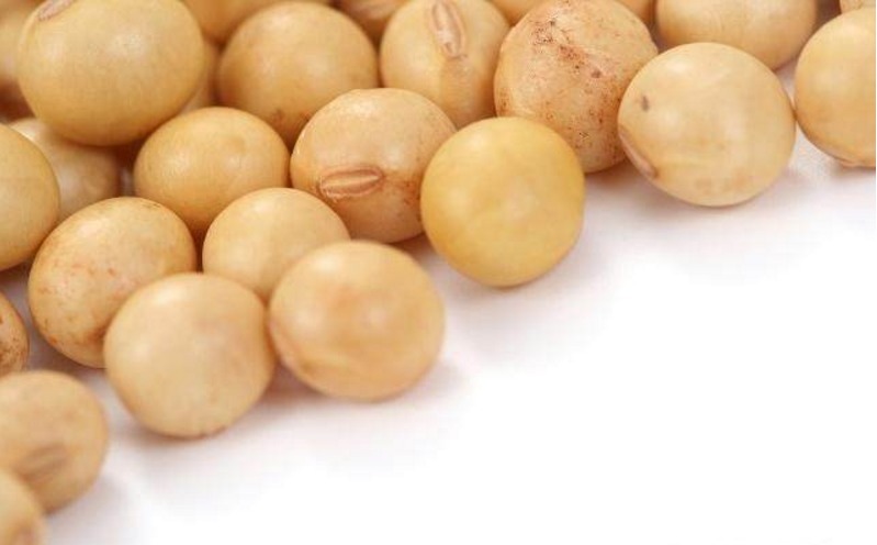 蛋黄|以下4样食物，老人和小孩经常吃，能健脑益智，还能提高记忆力