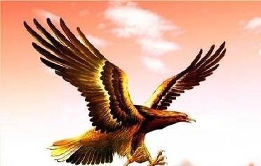 十二首描写鸟的古诗词,爱护鸟儿,更喜欢诗词