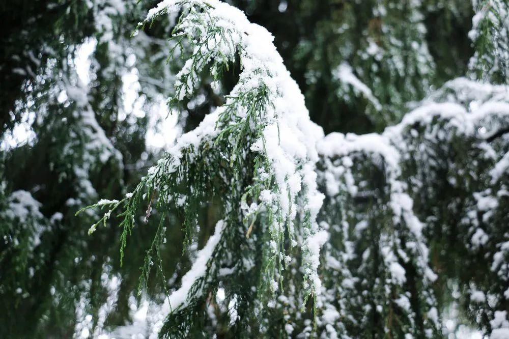 秘密|这个秘密只告诉你，刷爆朋友圈的广元雪景，都在这里了！