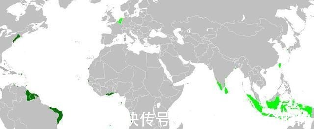 东印度公司|世界上最富有的公司,一个公司控制全球一半的贸易!