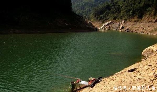 风口|立夏过后钓鱼,这些钓点成了必争之地,底下鱼儿扎堆,下竿就上鱼