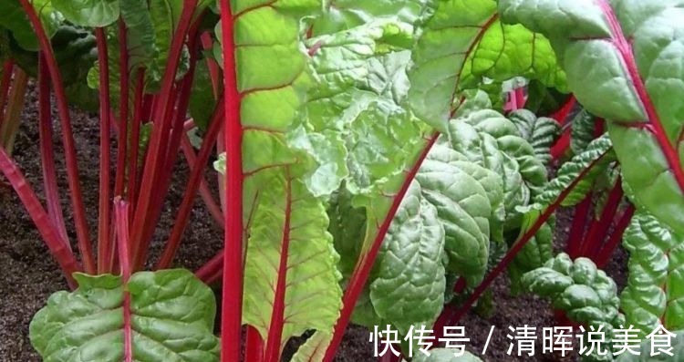 美容养颜|女性不想显老,常吃四种食物,美容养颜,减脂瘦身,改善身体