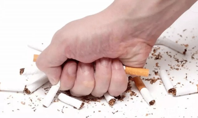 白瓜子|4种食物是精子“助长剂”,备孕时可劲吃,虎宝宝不久之后就会来