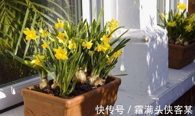 土质|除了手动翻土,还能通过“加点料”改善土质,解决土壤板结困扰