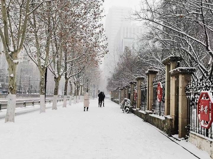 雪花|2022年，济南的第二场雪