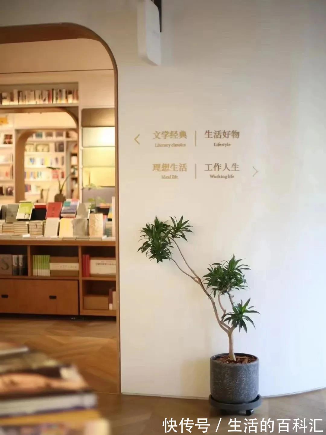 场景|绿植花卉，本草于一个家，可闻香，可观赏，可入画，可成香