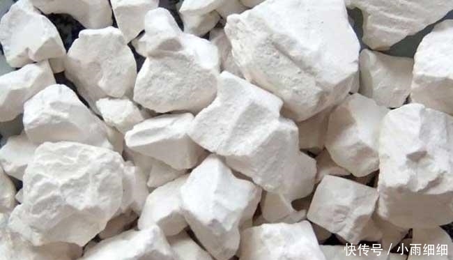 食物|女人不想老,每周吃两次这种食物,调节内分泌,修护肌肤!