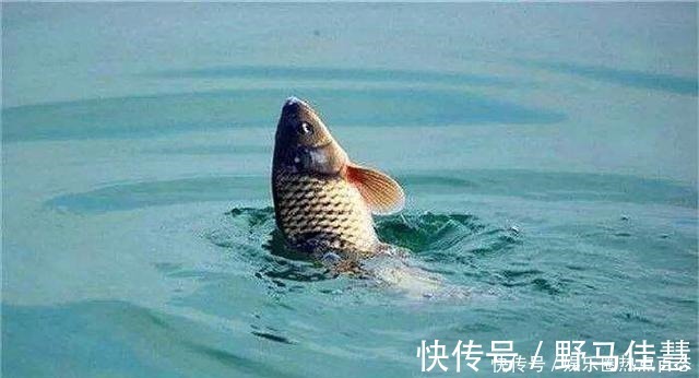 浮漂|一半钓鱼人还不知,秋钓出现这3种情况,说明找底出了问题!