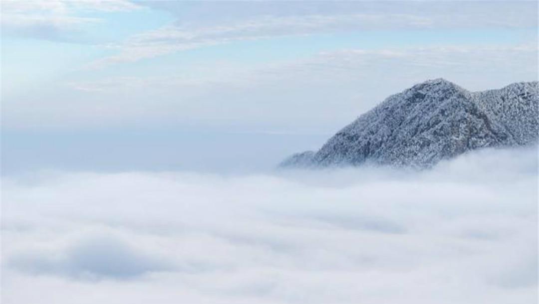 杂诗十二首|陶渊明晚年大彻大悟,写下的这首哲理诗,每一句都有大智慧!