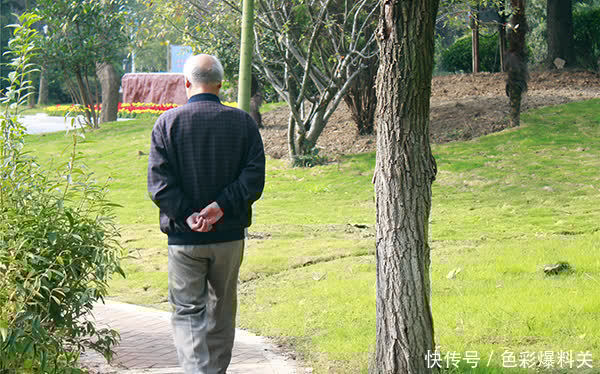 睡眠质量|俯卧撑是两三天做一次比较好，还是每天都做比较好？别做错了