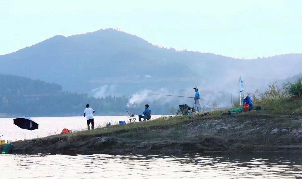 鲫鱼|钓鱼时大声说话,真的能把进窝的鱼惊散么