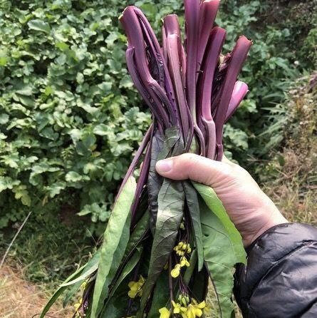 女人爱美，常吃3种食物，补血养气，养护血管，延年益寿