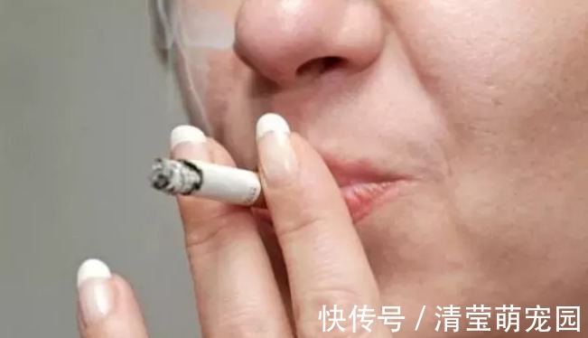 心肌缺血|每天“洗”1次，血管干净，百岁不老——3种食物让血管洗个澡！