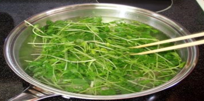 减肥|此食材2块钱一斤,女性吃了减肥,小孩吃了开胃,既美味又实惠