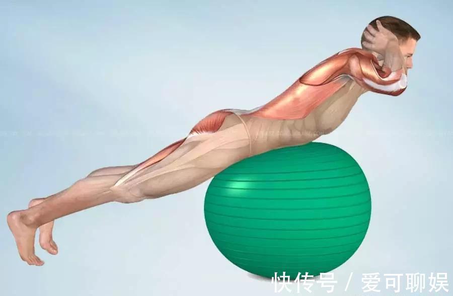 背部|练瑜伽，如何加强下背部力量？这8个动作超好用！（附解剖图）