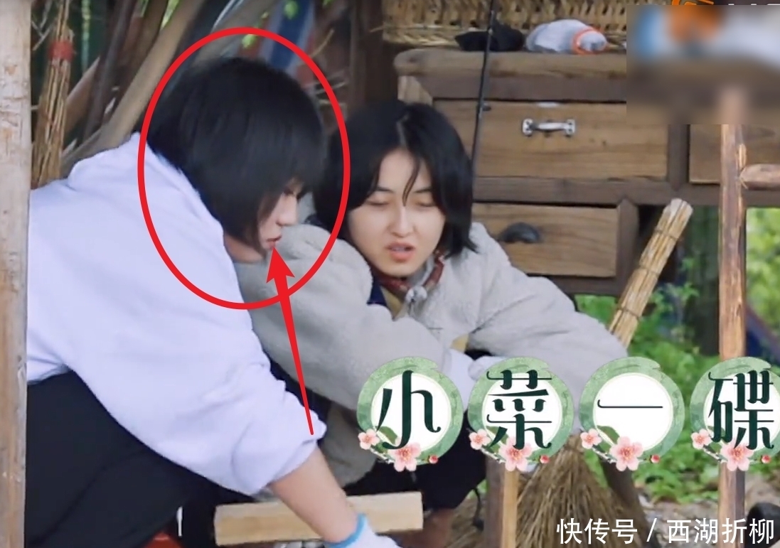 何炅 向往5迎来第二位女嘉宾,和陈赫对比明显,张艺兴都忍不住点赞了