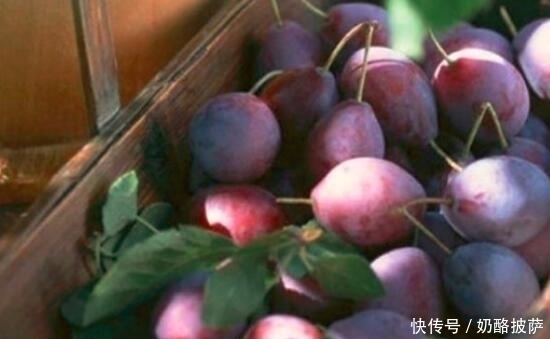 高血脂|非常好吃的一种水果,可以保护心血管,预防多种病症