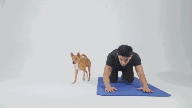 要领|练背要出效果抓住动作要领是关键4个动作,让你知怎样练背