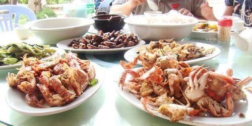 家庭的这2种“食物壳”,砸碎之后,撒在花盆里,养啥花都能旺!