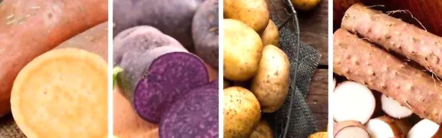 南瓜|健脾通便,润燥降压,入冬保健多吃各种薯