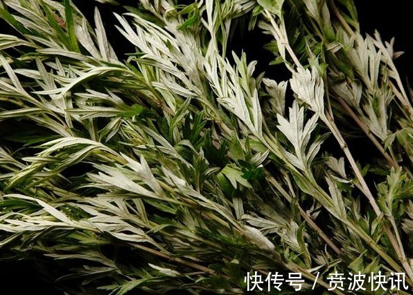 健康|艾叶煮水功效太高了,男人女人都离不开,为健康了解一下