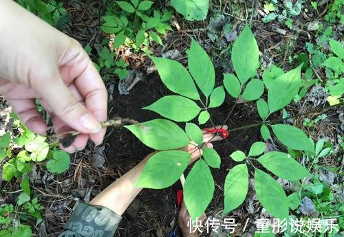 前列腺|男性开始衰老时,晨起后,有2种表现,若一个不占,说明你还年轻