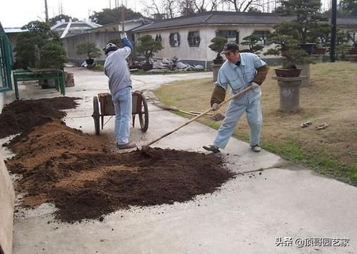 茉莉花用什么土栽种好？