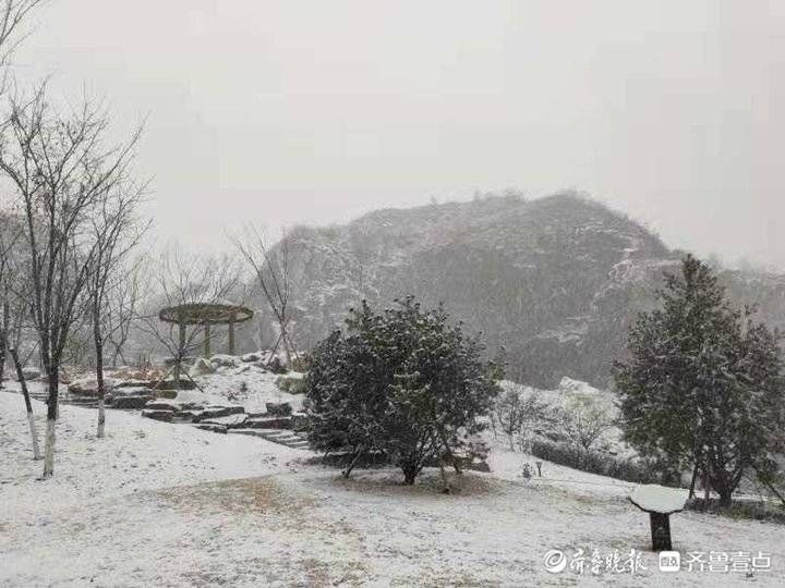 瑞雪兆|济南又下雪了，来看看卧牛山公园附近的雪景