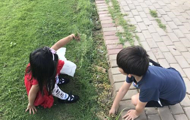 妈妈|宝宝“吃醋”表情萌翻网友,看到妈妈只抱了姐姐,弟弟心里很委屈