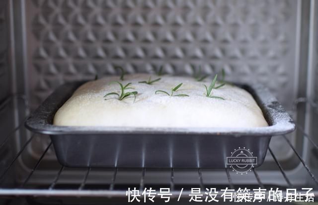 发酵|这面包做起来又快又好，平时要4个小时，这个只需3小时，真方便