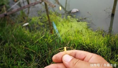 钓鱼|钓鱼10多年,不知道七星漂的这些用法?这可是冬钓最佳钓法!