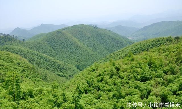 中国四大避暑胜地之一，四季风景秀丽，被誉为江南第一名山