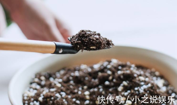 南酸北碱|不是什么土都能养花！30年老花农这样配土，网友发现细节有猫腻