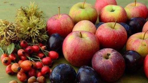 李子|糖尿病的“死敌”被找到了, 每天吃一点, 平稳血糖, 身体更健康