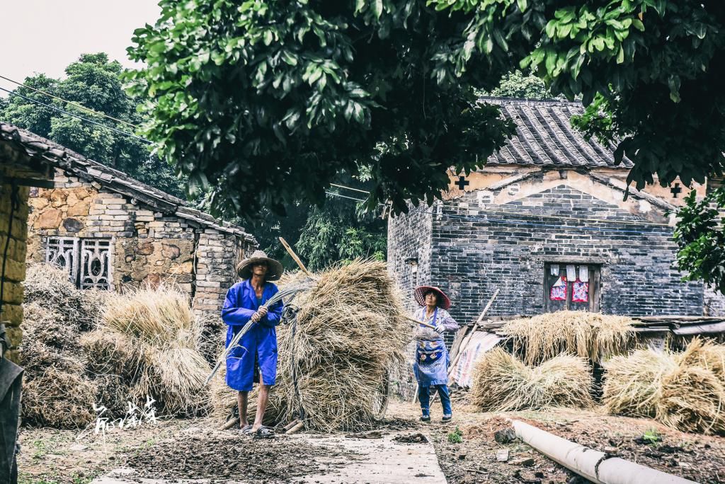 乡村|穿红裙到乡村旅游，吓得村民一哆嗦，这座百年村庄其实时光静好