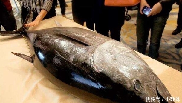 世界上的4种“顶级”海鲜,帝王蟹上榜,很多人叫不出图2的名字