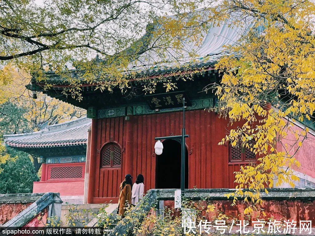 京西稻|秋游首站!北京“小镰仓”漫画电车站,车票仅3元!