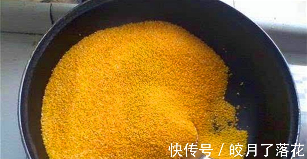 寒露前后,到了钓鲫的好时节,备好这款酒米窝料,大板鲫都是你的!