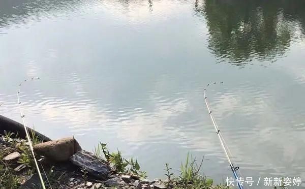 鱼钩|夏季钓黄颡鱼,这两种钓法很实用,钓法得当,渔获差不了