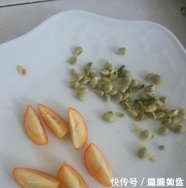 上火|它是“药”也是水果,比梨去火,天然止咳“剂”,孩子吃预防咳嗽