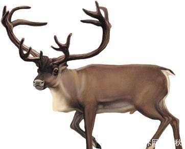 上门|河姆渡遗址发现神秘骨哨,只要吹响它,猎物会自动上门