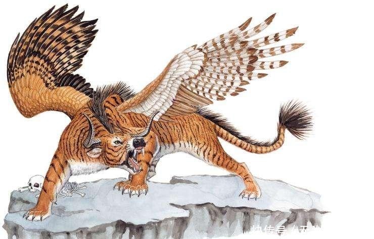 神兽|上古五方圣兽:东青龙西白虎,南朱雀北玄武,中央是何方神兽?