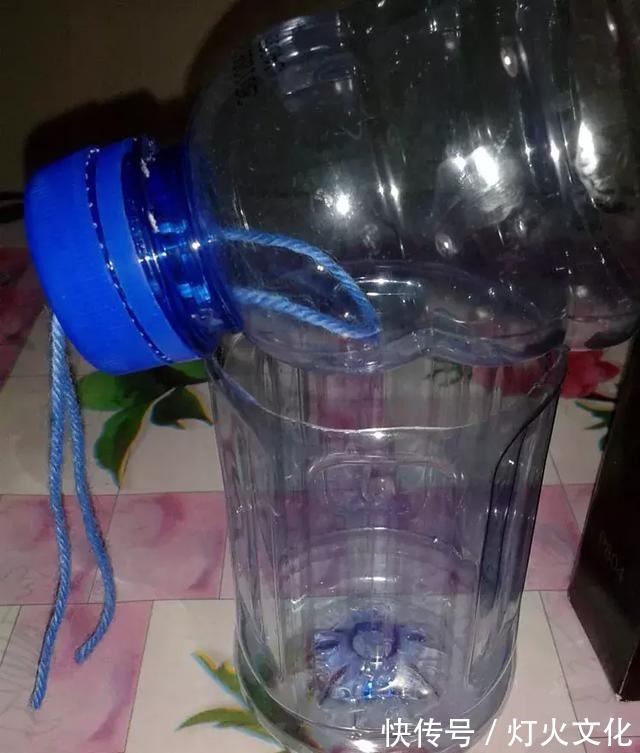 绿萝发黄养不好，一碰塑料瓶，根系蹭蹭长，叶子比巴掌还大！