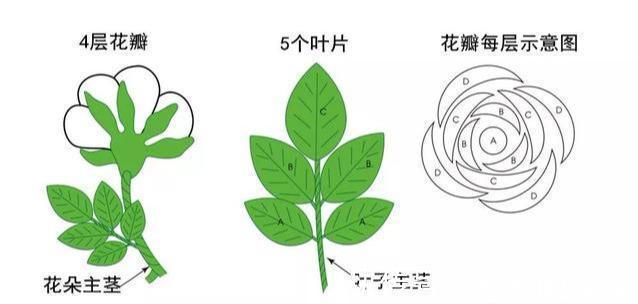 钩针玫瑰花,这么漂亮的花,都是一针一线钩出来的!附图解教程