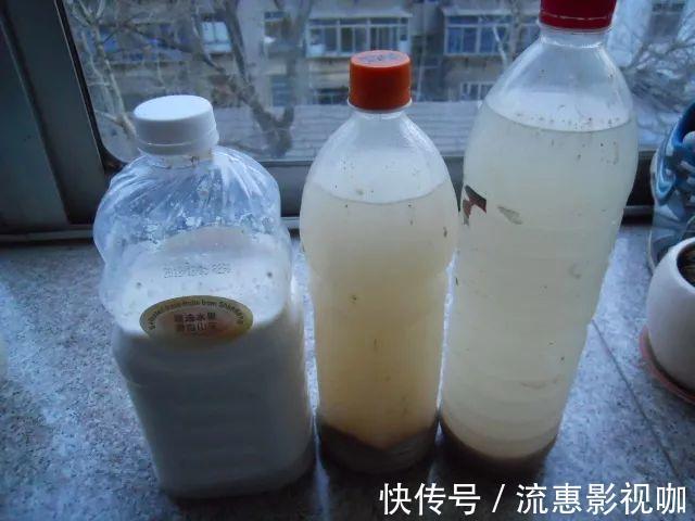 10个养花的坏习惯,赶紧改,不然真是浪费钱!