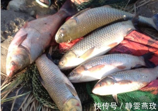 张祜$不出名却妙不可言的古诗,久在书卷无人识,如今一见就倾心