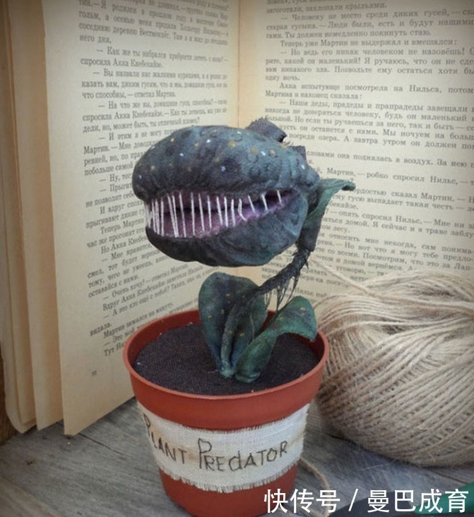 美女&俄罗斯美女手工艺术家和她独特的玩偶们!